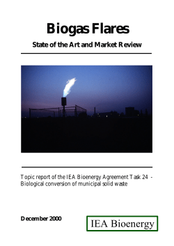 Biogas Flares - IEA Bioenergy Task 37
