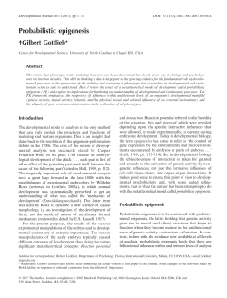 Gottlieb (2007)