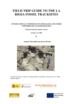 field trip guide to the la rioja fossil tracksites