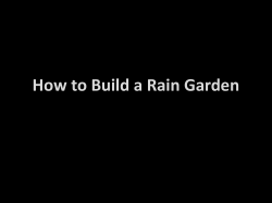How to Build a Rain Garden
