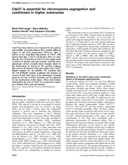 Cdc37 is essential for chromosome segregation and cytokinesis in