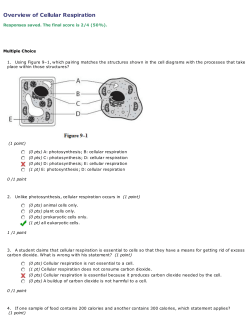 Overview of Cellular Respiration