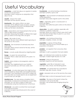 Useful Vocabulary - Audubon California