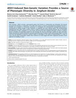 MSH1-Induced Non-Genetic Variation Provides a Source of
