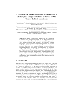 A Method for Identification and Visualization of Histological Image