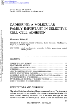 cadherins: a molecular family important in selective cell