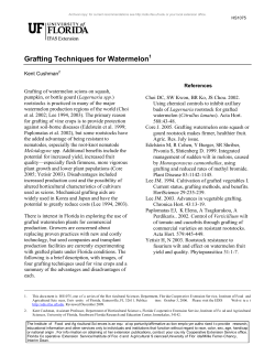 Grafting Techniques for Watermelon