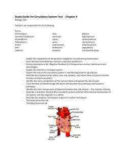 Study Guide for Circulatory System Test