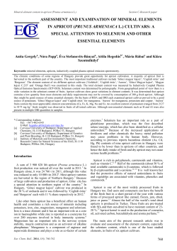 ASSESSMENT AND EXAMINATION OF MINERAL ELEMENTS IN