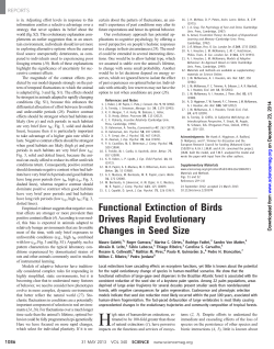 Functional Extinction of Birds Drives Rapid Evolutionary Changes in