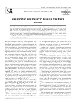Discoloration and Decay in Severed Tree Roots