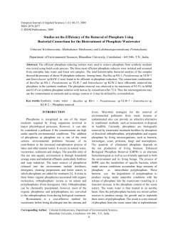 Studies on the Efficiency of the Removal of Phosphate Using