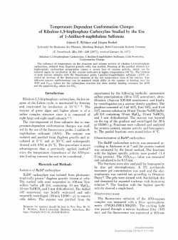 Temperature Dependent Conformation Changes of Ribulose