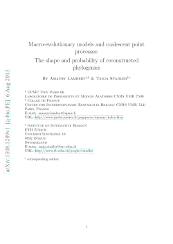 Macro-evolutionary models and coalescent point processes: The
