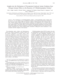 Insights into the Mechanism of Flavoprotein
