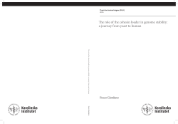 Thesis - KI Open Archive