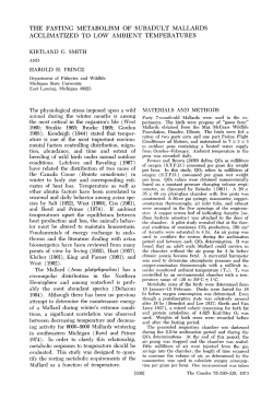 The Fasting Metabolism of Subadult Mallards Acclimatized to Low