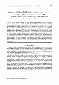 Control of Cell Size at Bud Initiation in