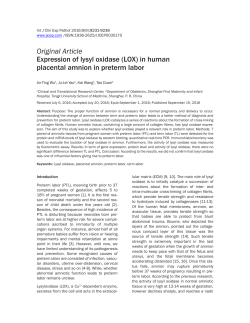 Expression of lysyl oxidase (LOX) in human placental amnion in