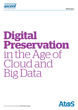 Digital Preservation in the Age of Cloud and Big Data