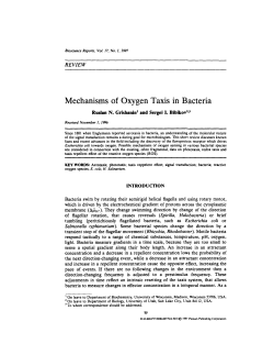 Mechanisms of Oxygen Taxis in Bacteria