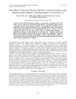 The Effects of Glycerol, Glucose, Galactose, Lactose