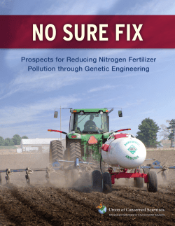 Prospects for Reducing Nitrogen Fertilizer Pollution through Genetic