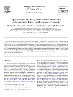 G-protein alpha and beta&ndash;gamma subunits interact with