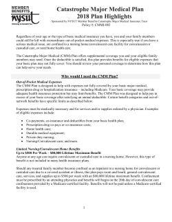 2018 CMM Plan Highlights