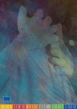 Harmful traditional practices