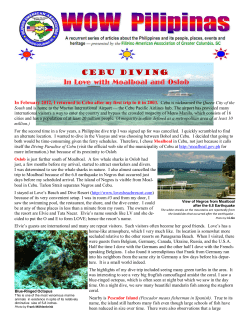 Cebu Diving In Love with Moalboal and Oslob - Filipino