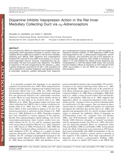 Dopamine Inhibits Vasopressin Action in the Rat Inner Medullary