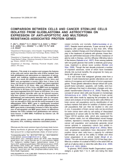 comparison between cells and cancer stem-like cells