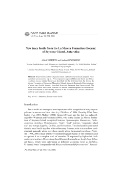 New trace fossils from the La Meseta Formation