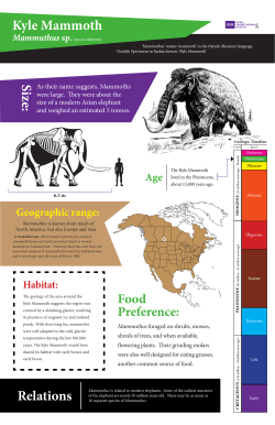 Kyle Mammoth Size - Royal Saskatchewan Museum