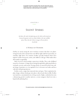 Silent Sparks: The Wondrous World of Fireflies. Sara Lewis