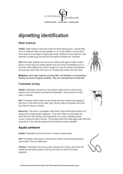 Identification of Aquatic Invertebrates
