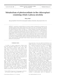 Metabolism of photosynthate in the chloroplast