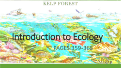 Introduction to Ecology