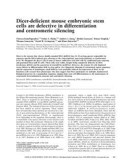 Dicer-deficient mouse embryonic stem cells are defective in