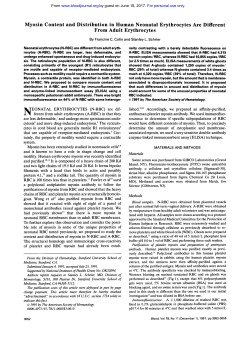 Myosin Content and Distribution in Human Neonatal