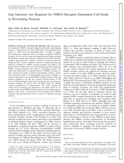 Gap Junctions Are Required for NMDA Receptor&ndash;Dependent Cell