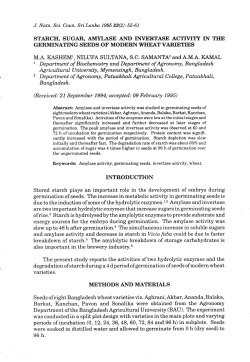 starch, sugar, amylase and invertase activity in the germinating