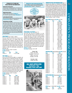 gymnastics program informa tion