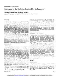 Segregation of the Nucleolus Produced by