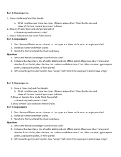 Part 1: Gymnosperms 1. Draw a Cedar Leaf and Pine Needle. a