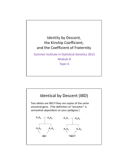 Identical by Descent (IBD)
