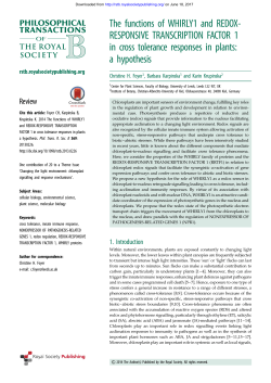 The functions of WHIRLY1 and REDOX
