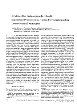 Evidence that Proteases are Involvedin Superoxide Production