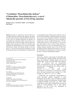 Texte intégral View